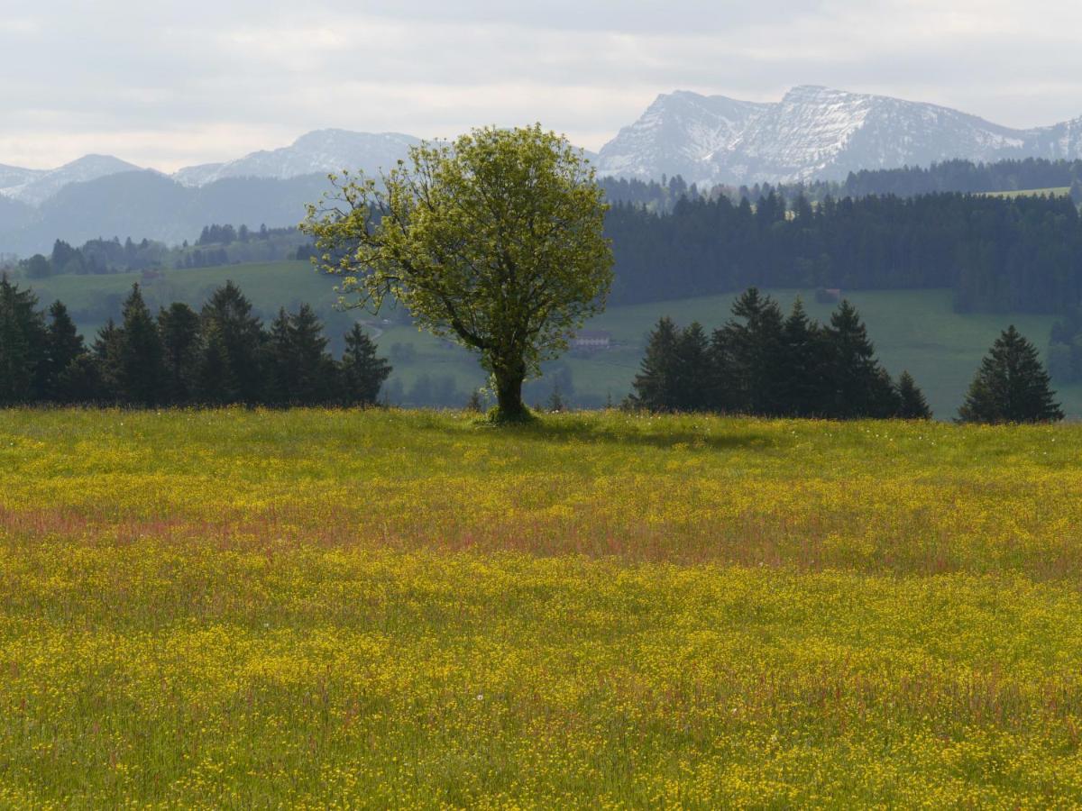 Hotel Post - Regionales Grosses Fruehstuecksbuffet - Auch Gf & Lf Scheidegg Zewnętrze zdjęcie